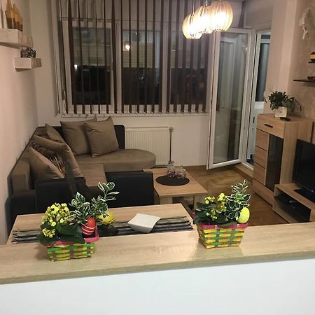Apartment Sinisa With Garage Novi Sad Exterior foto